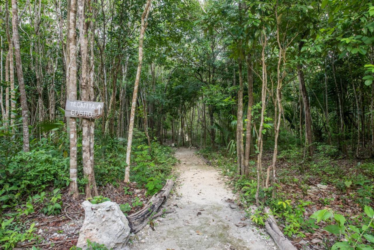 Casa Costal - Glamping Experience Hotel Puerto Morelos Kültér fotó
